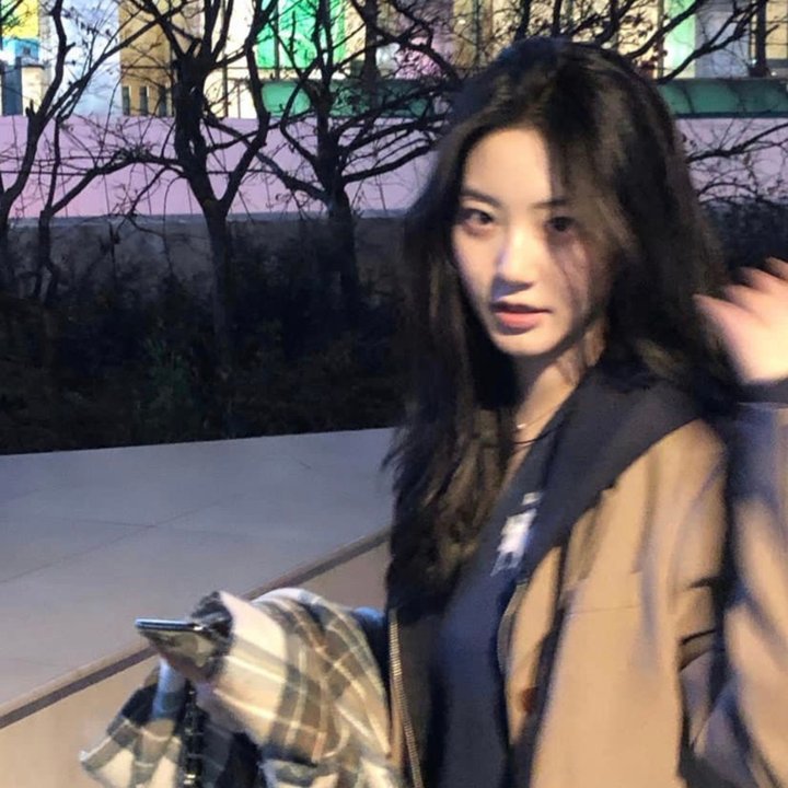 愤怒的蝴蝶